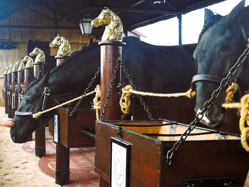 Half-Day Lusitanian Horses & Photography Museum Private Tour - Key Points