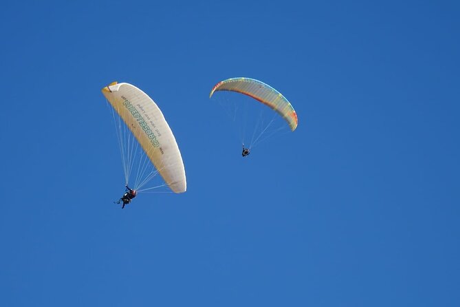 Half-Day Paragliding in Marrakech and Atlas Mountains - Overview and Experience Details