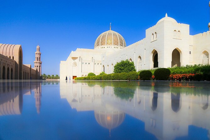 Half-Day Private Muscat City Tour - Key Points