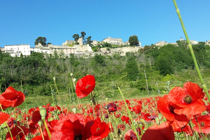 Half Day Private Tour For 4 8 Person Key Points