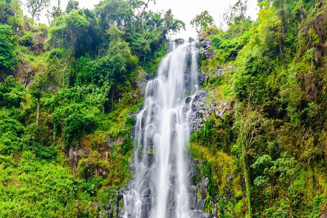 Half-Day Private Tour to Materuni Waterfalls and Coffee Excursion - Key Points