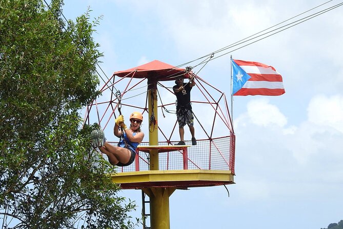 Half Day Tour in Rainforest Zipline Park With Transportation - Overview of the Experience