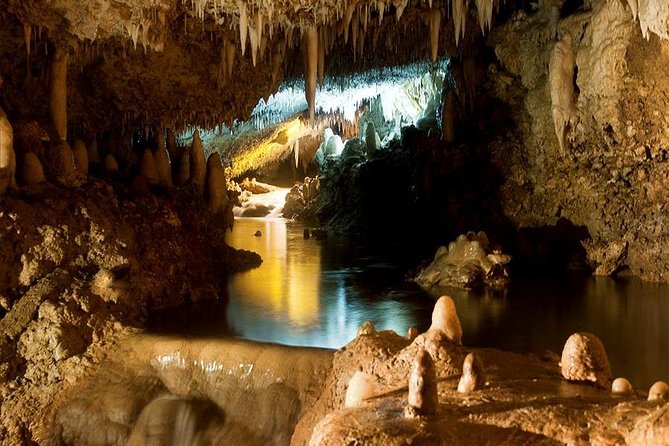 Harrisons Cave Tour From Bridgetown - Key Points