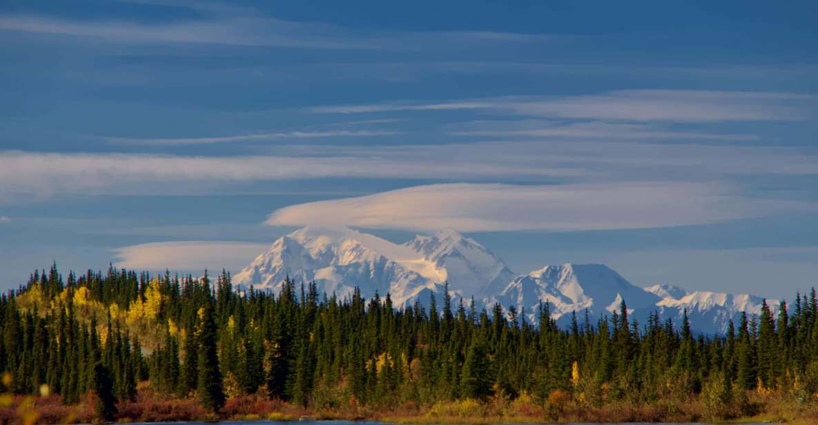 Healy: Denali National Park Self-Guided Jeep Adventure - Key Points