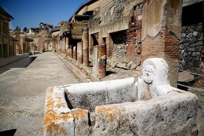 Herculaneum 3D Skip the Line Walking Tour - Key Points