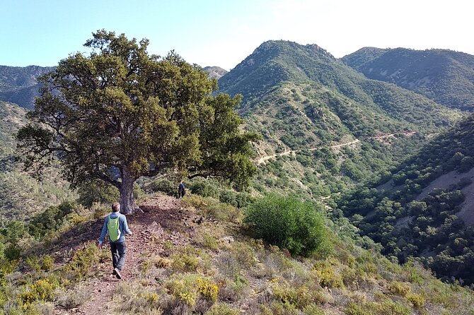 Hike the Cork Oak Trail and Try Some Delicious Cheese - Key Points