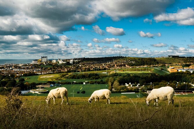 Hiking and Yoga Activity in Brighton - Key Points