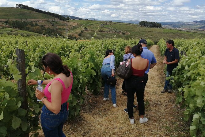 Hiking Through Douro Valley Wine Region Inclusions