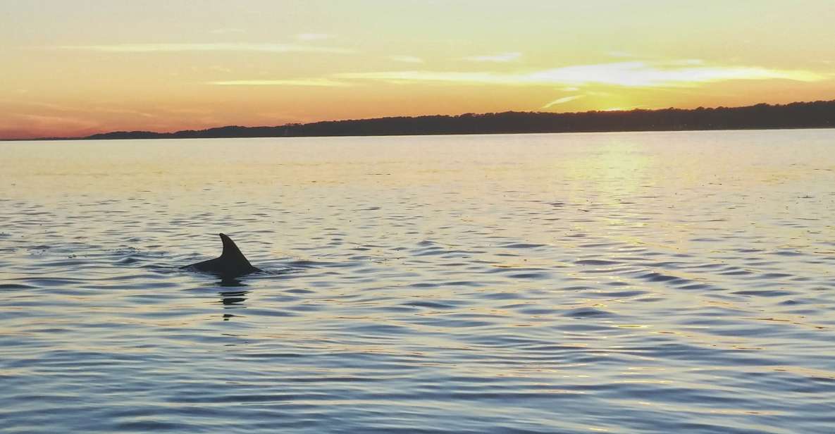 Hilton Head Island: Dolphin Watching 3-Course Dinner Cruise - Key Points