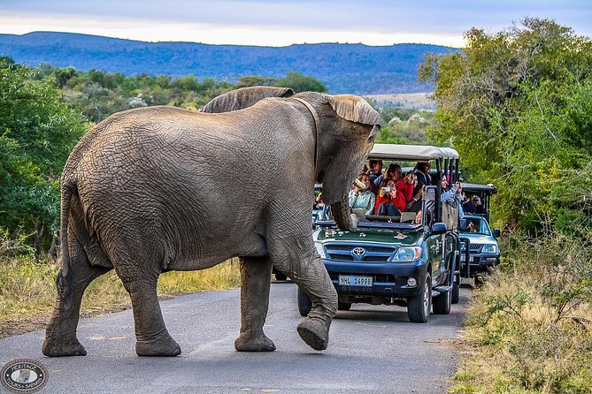 Hluhluwe-Imfolozi Park Full Day Big 5 Safari Tour - Tour Overview