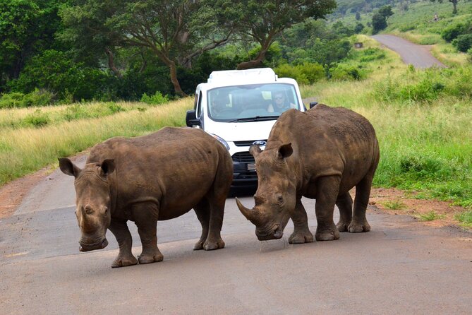 Hluhluwe Imfolozi Safari Day Tour From Durban - Key Points