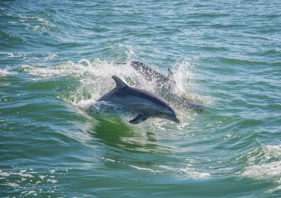 Holiday, FL: Anclote Key Preserve Private Boat Tour - Key Points