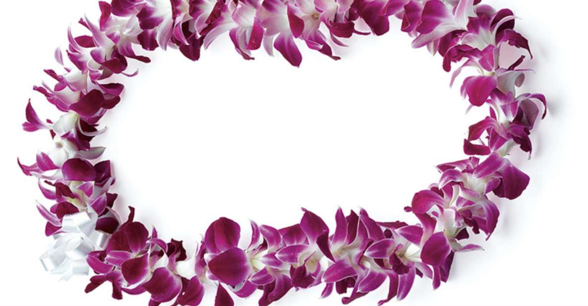 Honolulu: Private Airport Transfer With Arrival Lei Greeting - Key Points