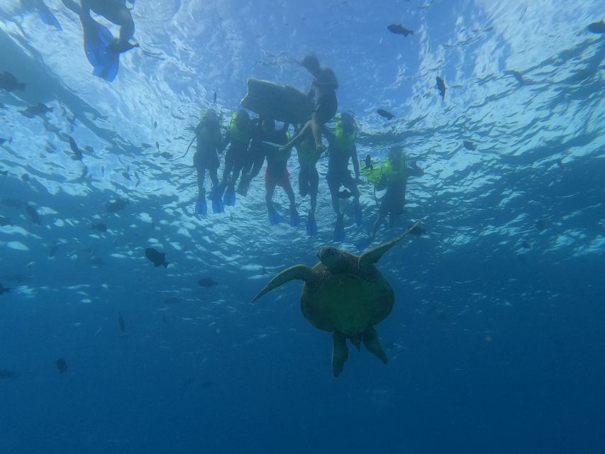 Honolulu: Snorkel With Turtles, Water Scooter, Paddleboard - Key Points