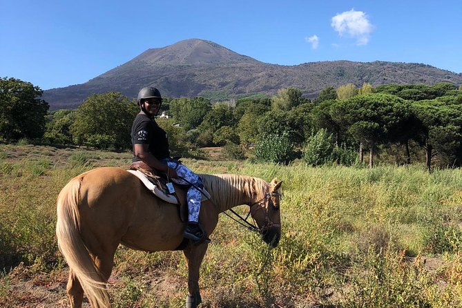 Horse Riding Experience on Vesuvius W/ Wine Tasting - Key Points