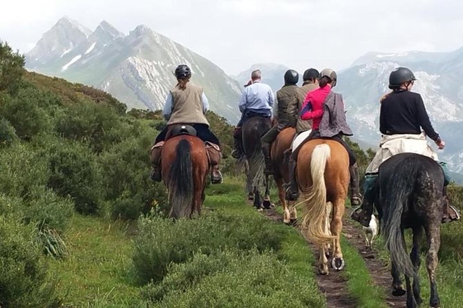 Horse Riding Madrid Natural Park (long Trip) - Key Points