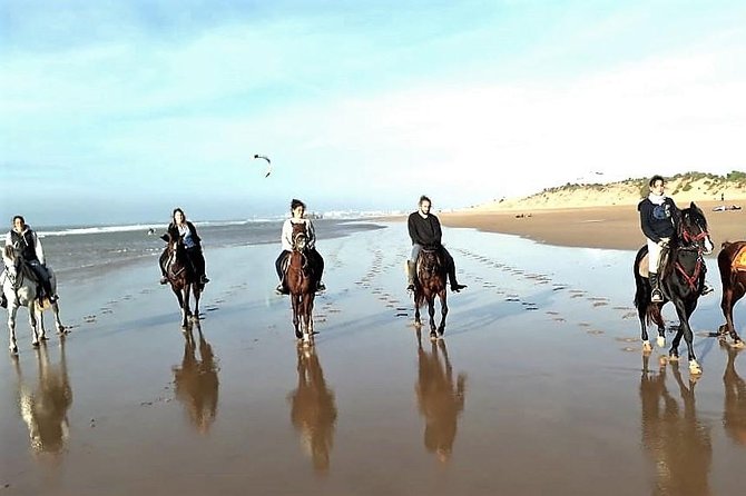 Horse Riding On The Beach Of Essaouira 3 Hours Key Points