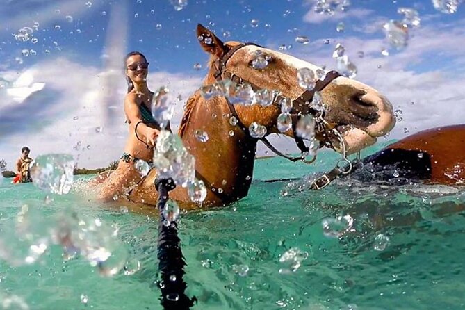 Horseback Ride Adventure Activity Inclusive With Transportation From Montego Bay - Key Points