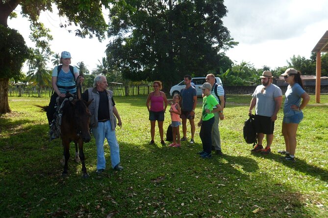 Horseback Riding Across Indigenous Trails Puerto Plata - Key Points