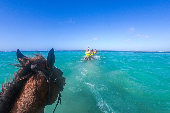 Horseback Riding and River Tubing Combo From Montego Bay - Key Points