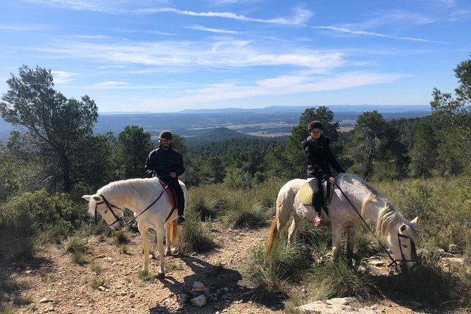 Horseback Riding and Wine Tour - Key Points