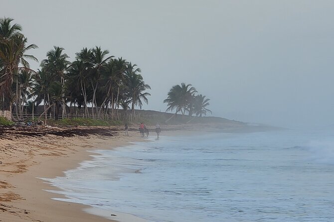 Horseback Riding at Sunrise on the Beach of Punta Cana - Location and Transportation