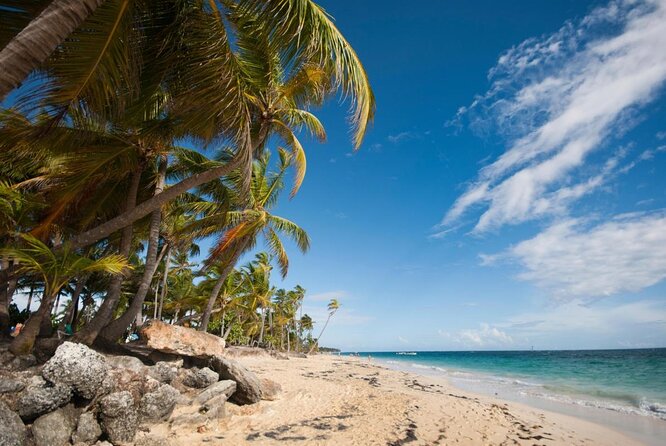 Horseback Riding on the Beach in Punta Cana (One Hour) - Key Points