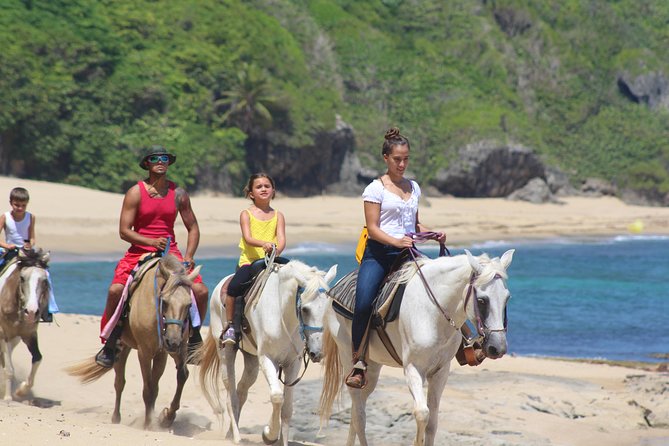 Horseback Riding Through Secluded Beaches and Tropical Forests - Tour Overview