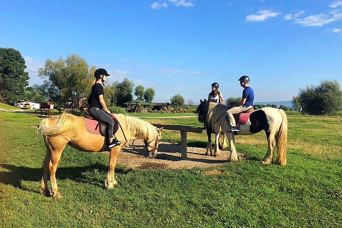 Horseback Riding Tour In Brasov - Ride Through Fields, Forests & Hills - Key Points