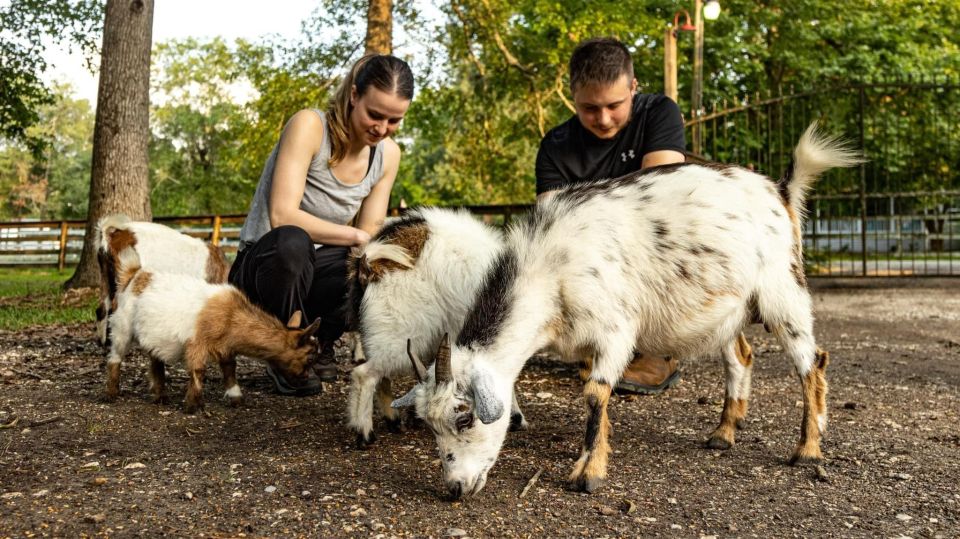 Houston: Adorable Mini Goats Experience E - Key Points