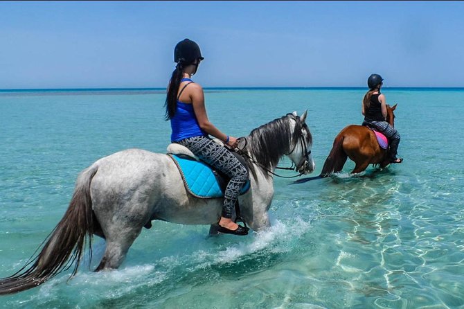 Hurghada: 2 Hours Camel and Horse Riding Adventure on The Sea. - Inclusions and Additional Costs