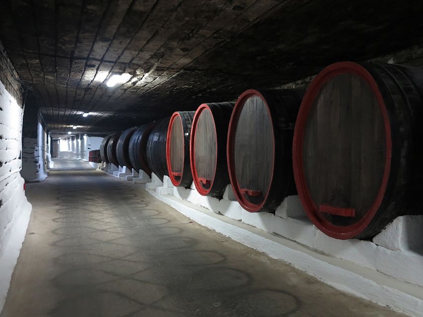 Iasi: Cricova Winery, Chisinau City Tour and Capriana - Key Points