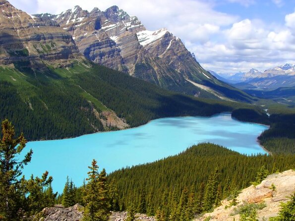 Icefields Pkwy: Lake Louise | Bow Lake | Peyto Lake | Glacier - PRIVATE DAY TOUR - Key Points