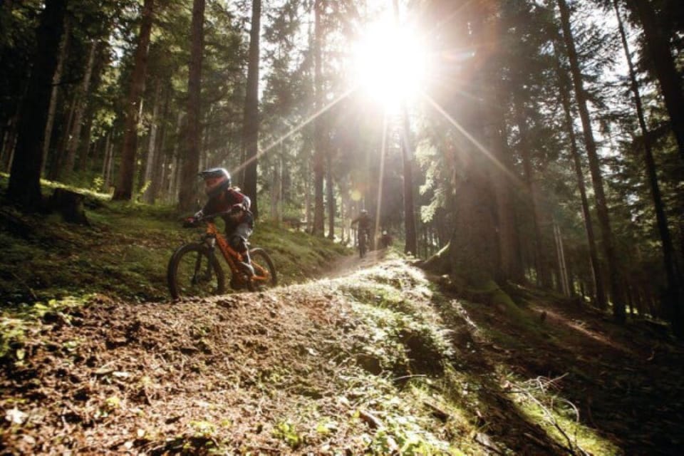 Innsbruck: Downhill Guiding - Bike Park Innsbruck - Key Points