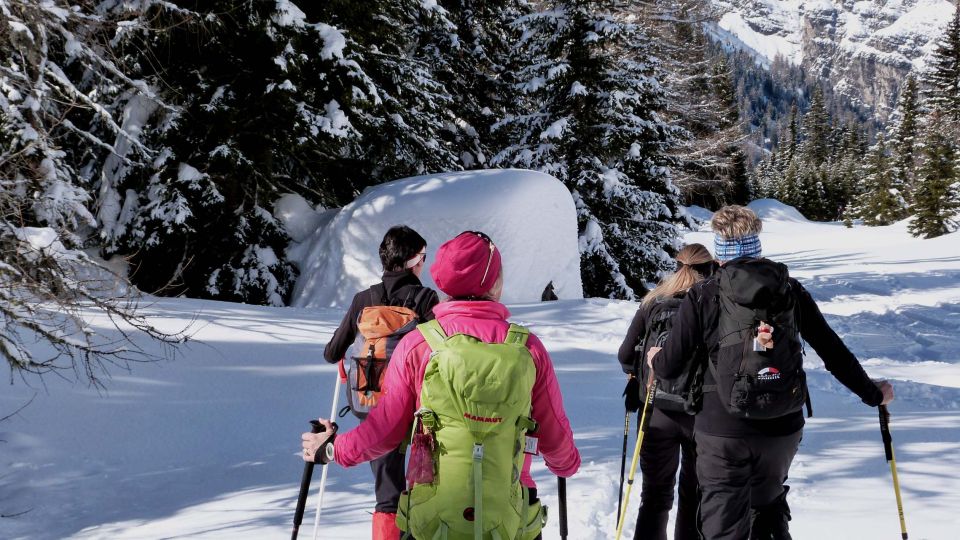 Innsbruck: Private Guided Snowy Mountain Hike / Snowshoes - Key Points