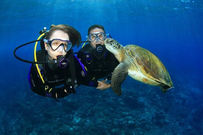 Intro Scuba Diving Experience in Hurghada - Key Points