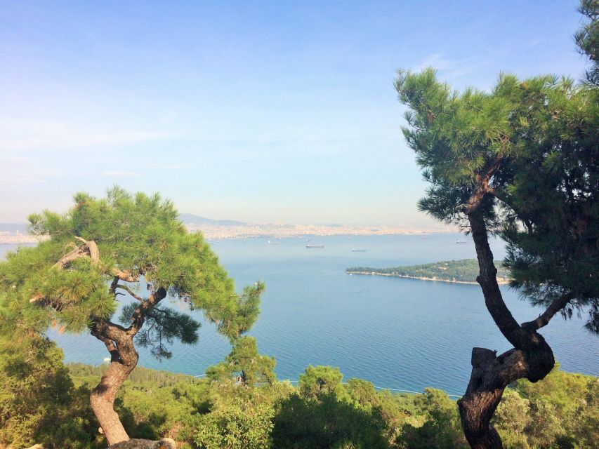 Istanbul: Day Trip to the Princes Islands - Key Points