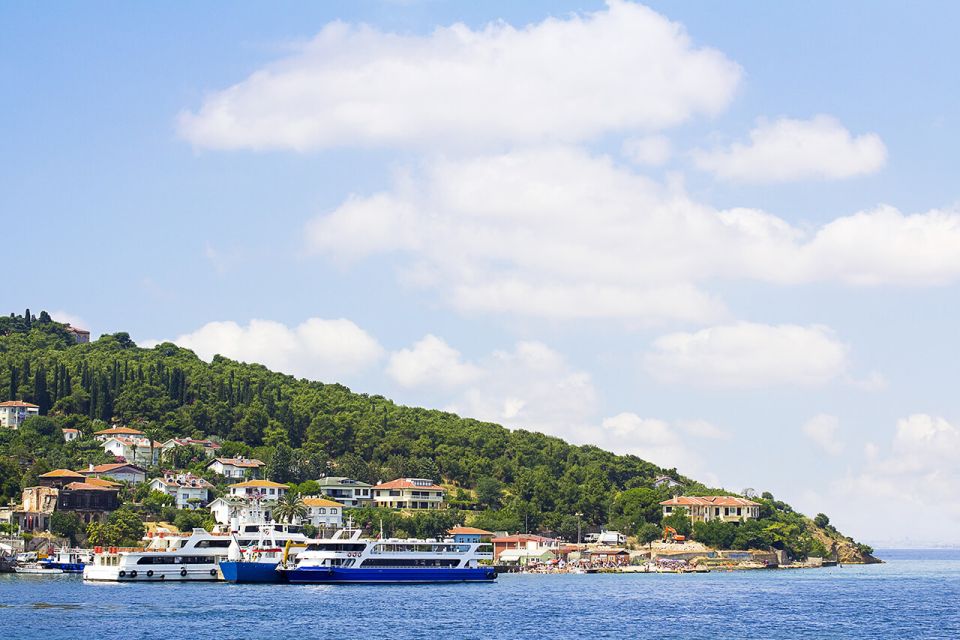 Istanbul: Round-Trip Ferry Tickets to the Princes Islands - Key Points