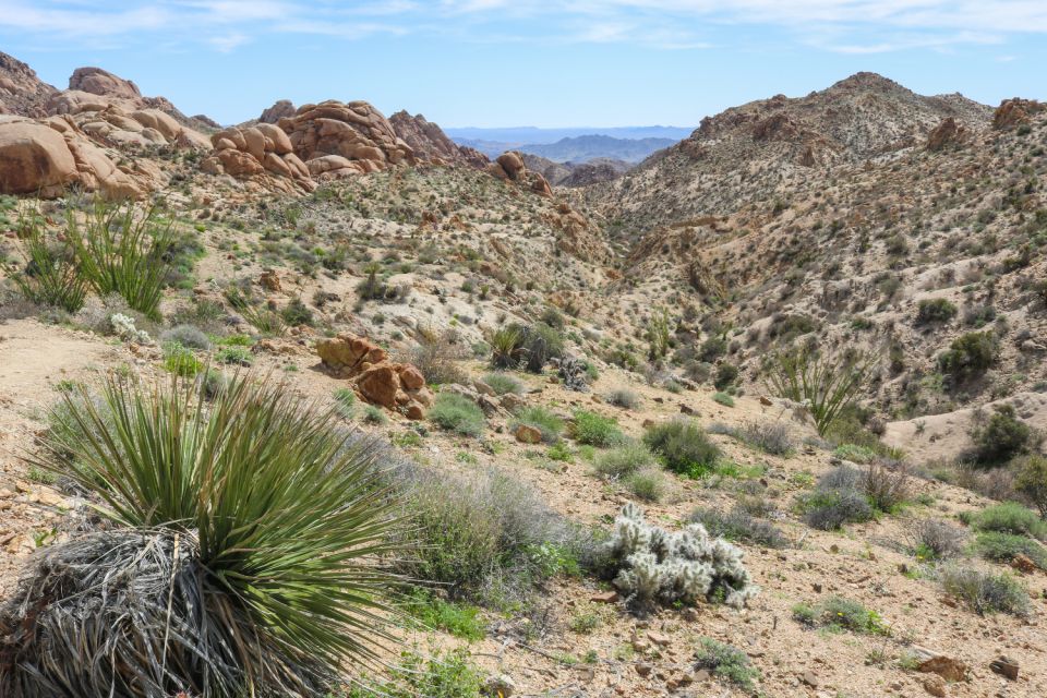 Joshua Tree National Park: Self-Driving Audio Tour - Key Points