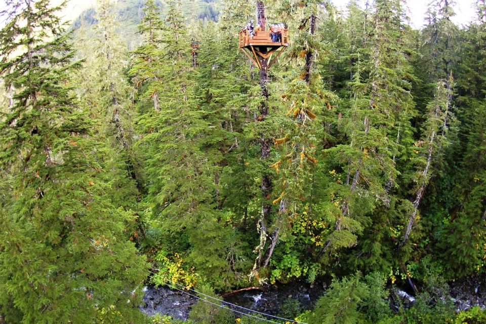 Juneau: Alpine Zipline Adventure - Key Points