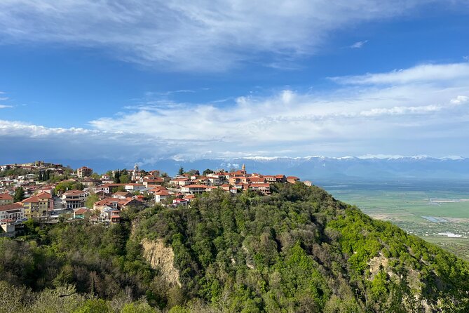 Kakheti-Sighnaghi Day Trip With Wine Tasting and Bodbe Monastery - Key Points