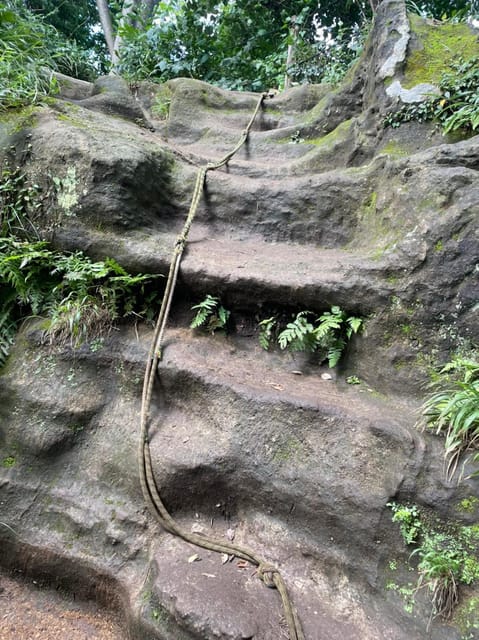 Kamakura: Zen Journey - Key Points