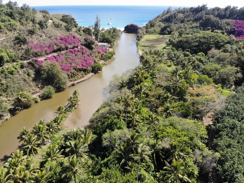 Kauai: Allerton Garden Guided Group Walking Tour - Key Points