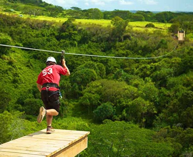 Kauai: Zipline Adventure - Key Points