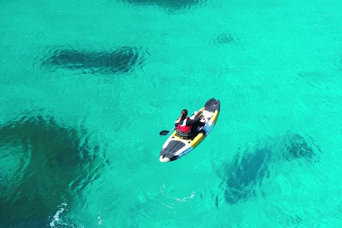 Kayak Tour in Golfo Aranci With Aperitif and Dolphin Watching - Key Points