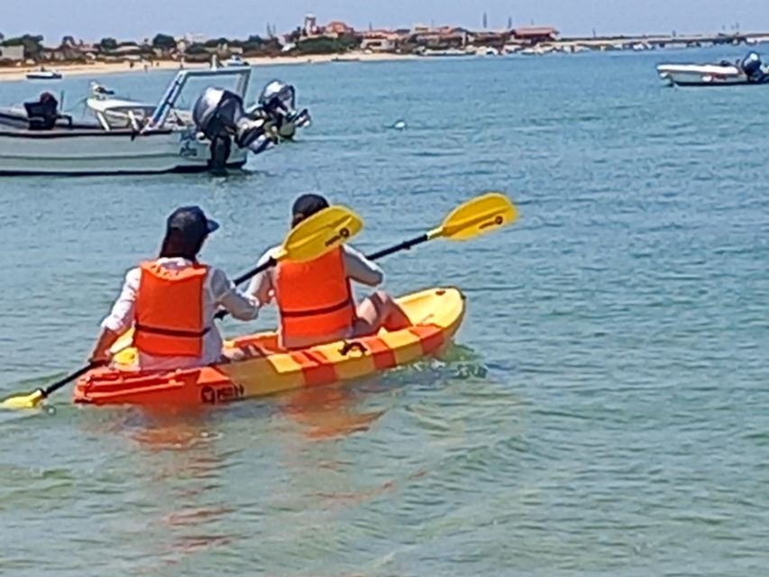 Kayak Tour in Ria Formosa - Olhão - Key Points