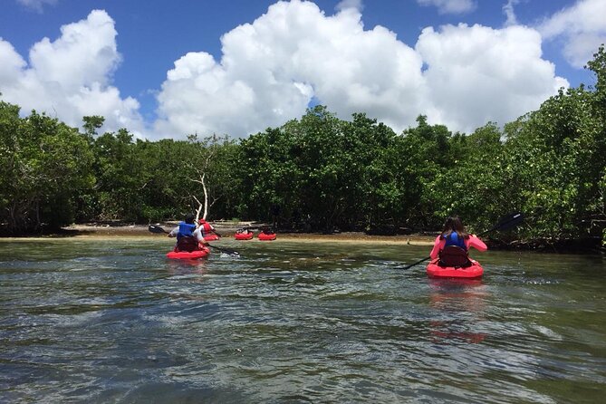 Kayaking Adventure at Savannes Bay - Key Points