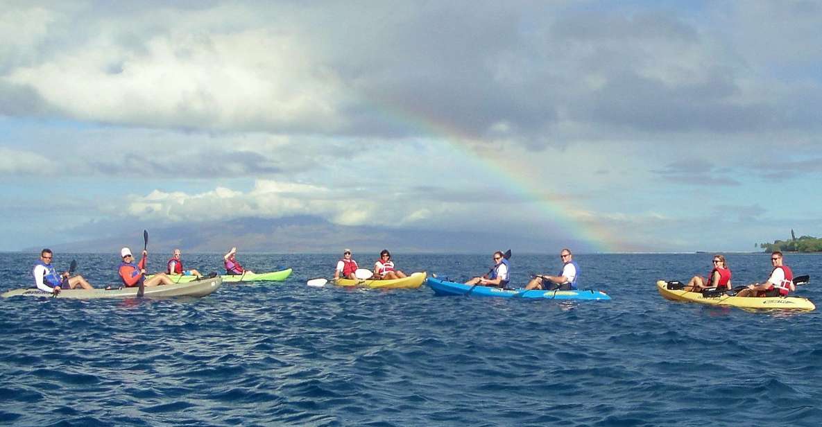 Kayaking and Snorkeling at Turtle Reef - Key Points