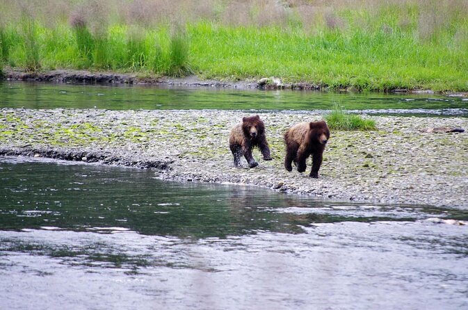 Ketchikan Kayak Eco-Tour - Key Points