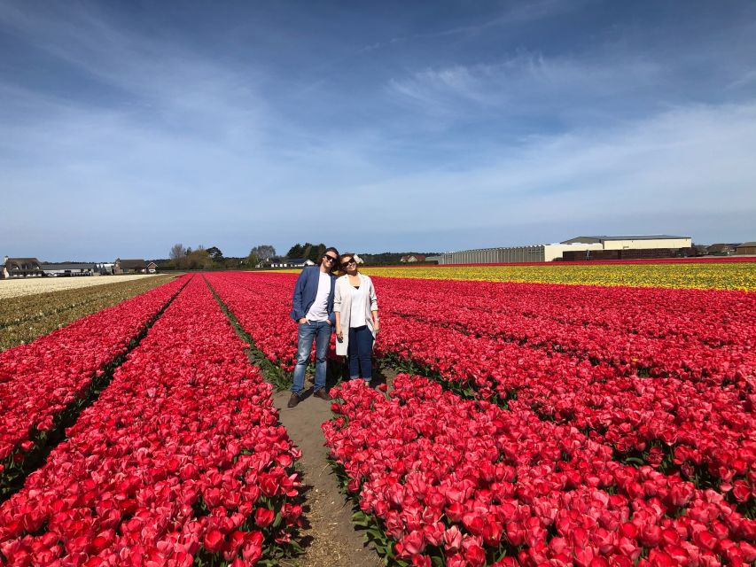 Keukenhof, Flower Fields & Delft City - Key Points